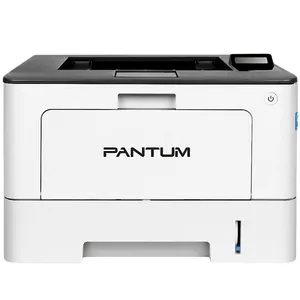 Замена принтера Pantum P3308DW в Нижнем Новгороде